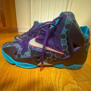 Nike Kids LeBron sz 6 - Purple and Teal